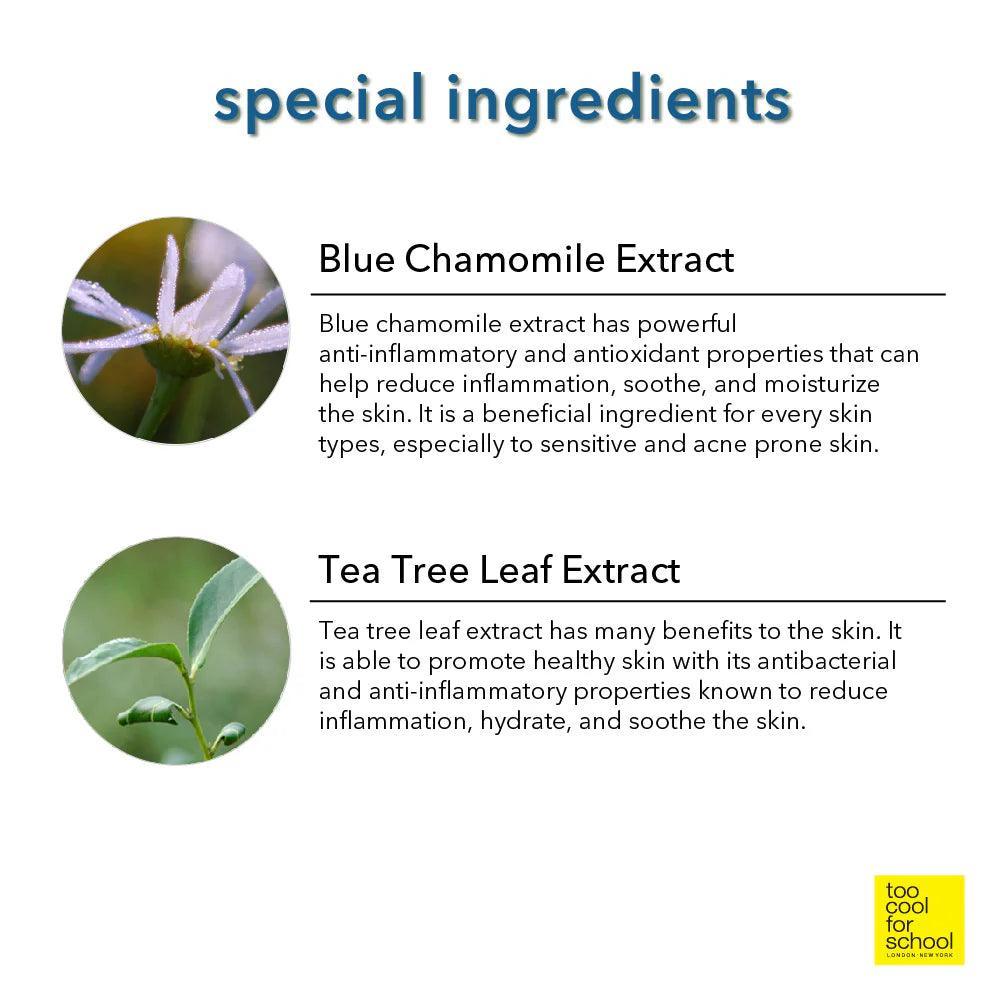 [TOO COOL FOR SCHOOL] Artclass By Rodin Finish Setting Pact 4g Finish Powder TOO COOL FOR SCHOOL