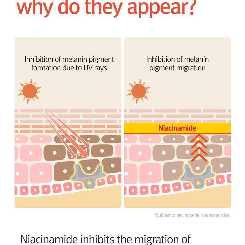 12GRABS 10 Elements Vita Serum 50ml Face Serum 12GRABS