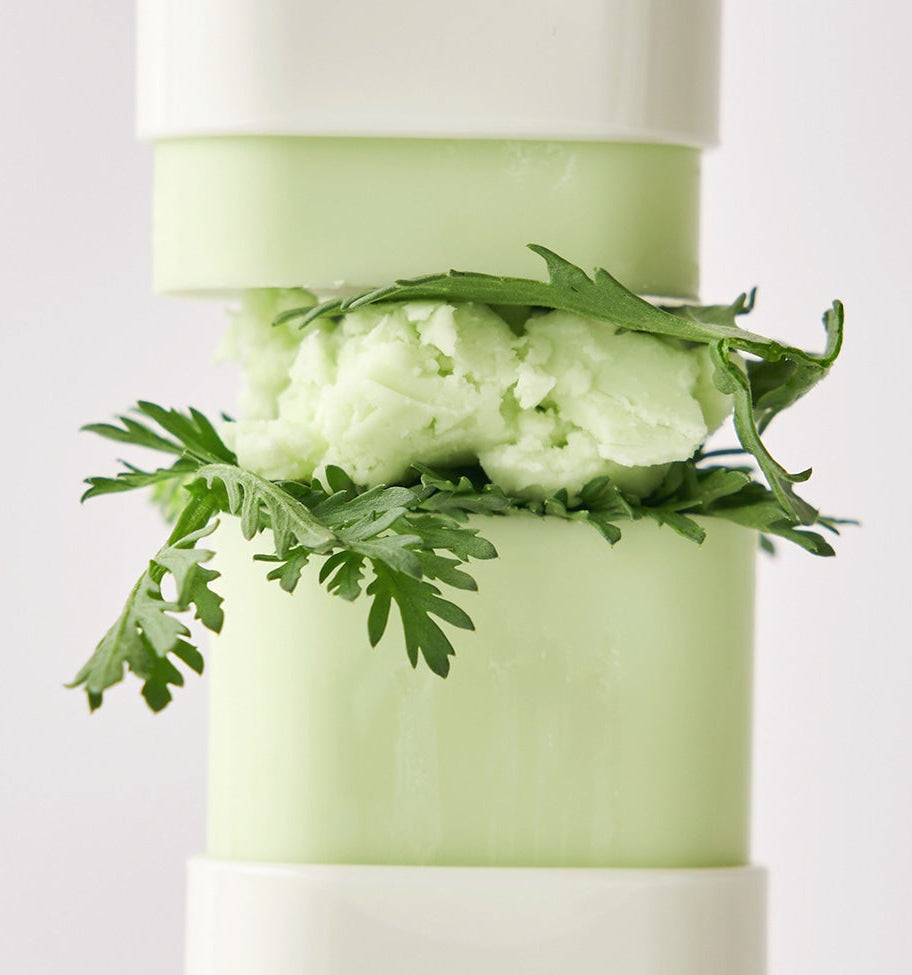 Beauty of Joseon - Matte Sun Stick: Mugwort + Camellia (SPF50+ PA++++) (18g)-thekimyoung.com