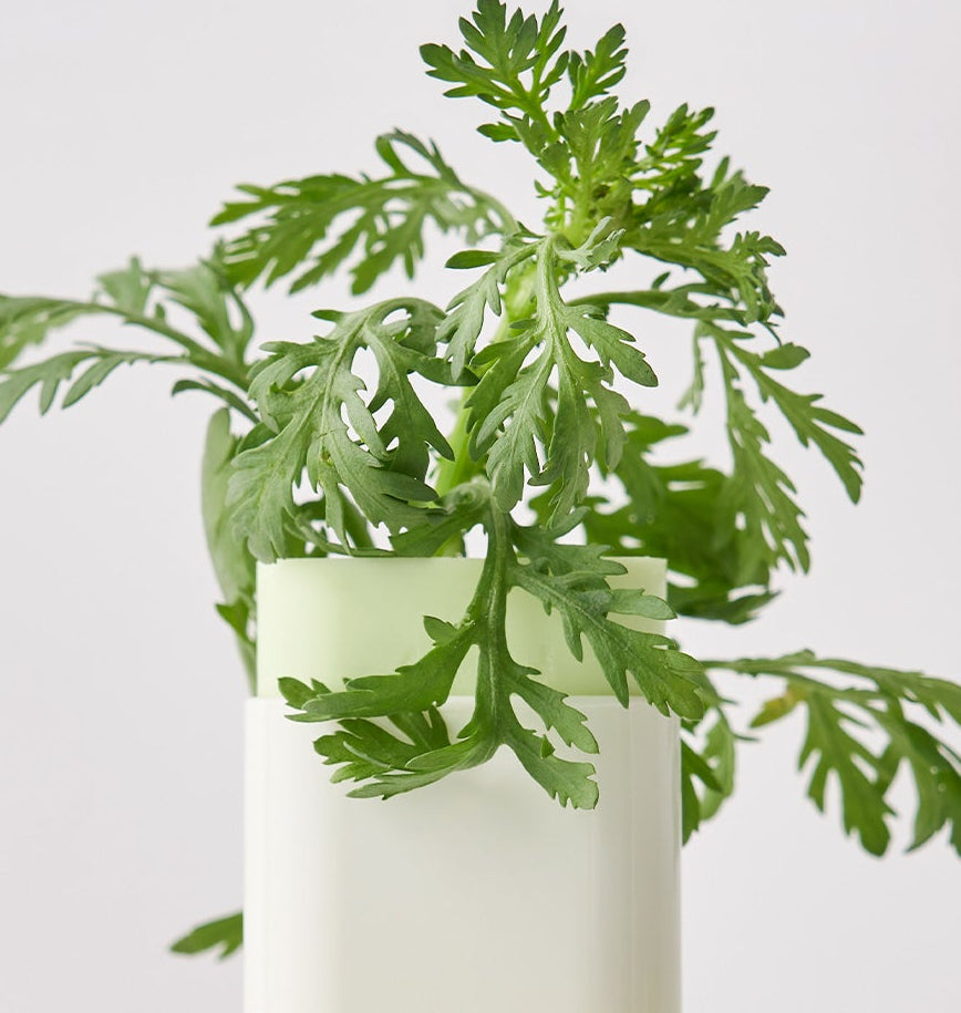 Beauty of Joseon - Matte Sun Stick: Mugwort + Camellia (SPF50+ PA++++) (18g)-thekimyoung.com