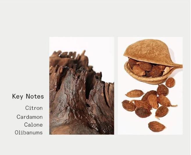 3CE Hand Cream 50ml #UNFAMILIAR JOURNEY Hand Cream 3CE