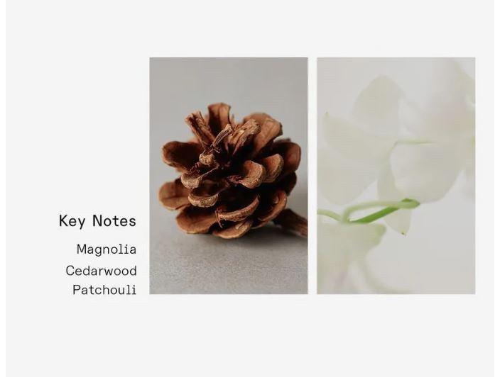 3CE Hand Cream 50ml #WHERE DAYS COLLIDE Hand Cream 3CE