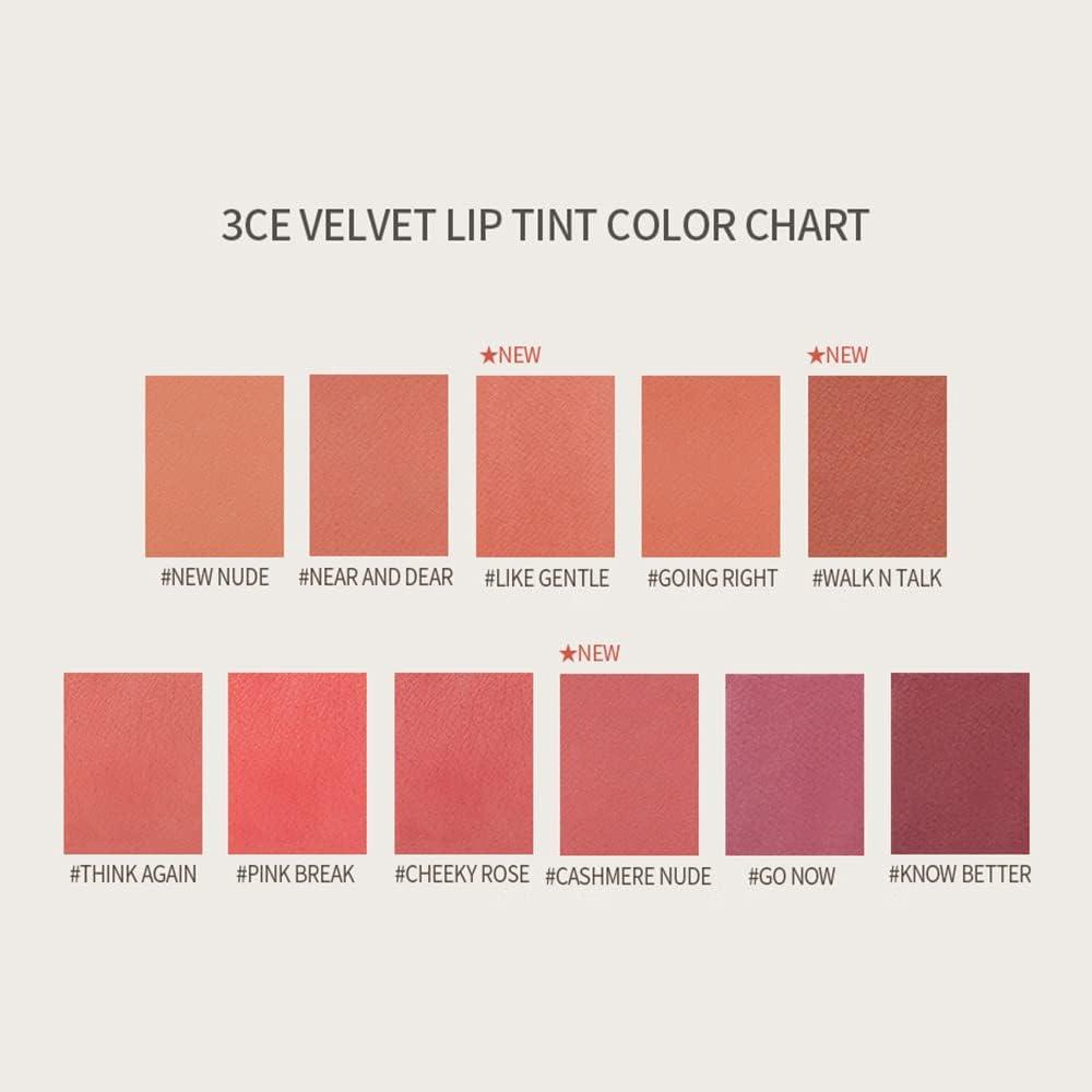 3CE Velvet Lip Tint 4g #PRIVATE-thekimyoung.com