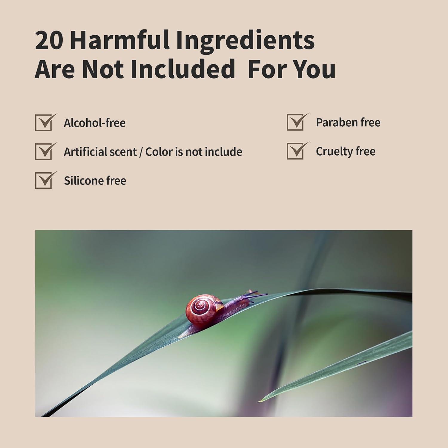 Benton Snail Bee High Content Lotion 120ml-thekimyoung.com