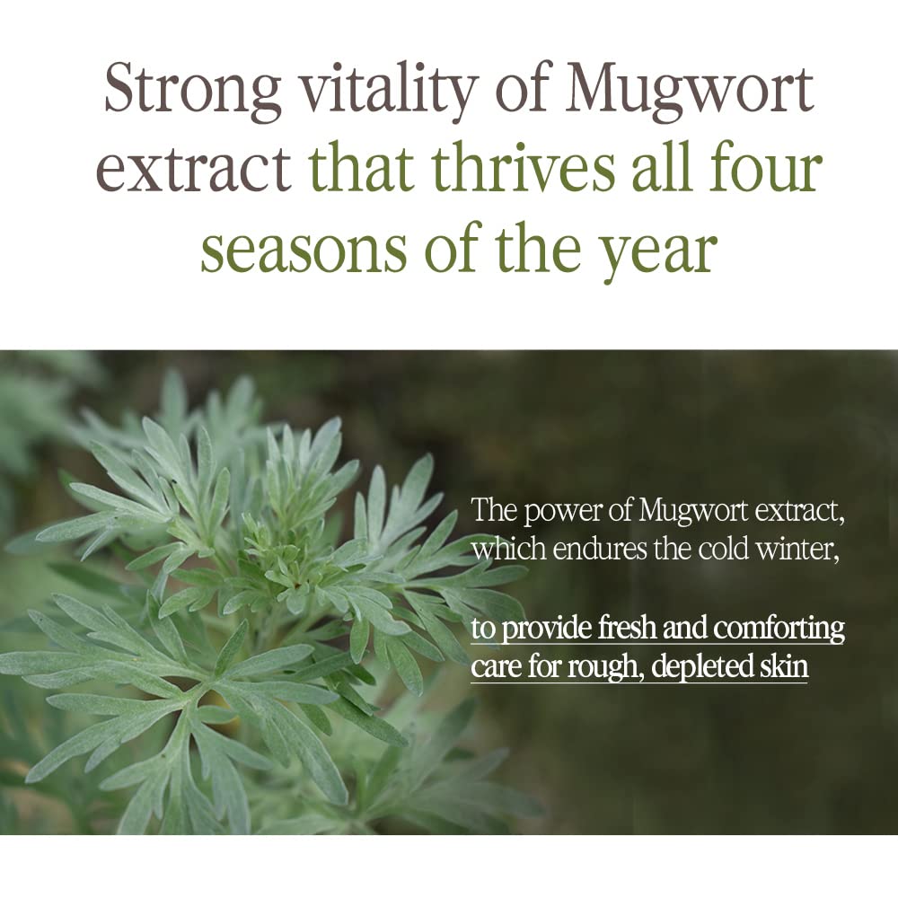 Pyunkang Yul Black Tea Enriched Cream 60ml Face Cream Pyunkang Yul