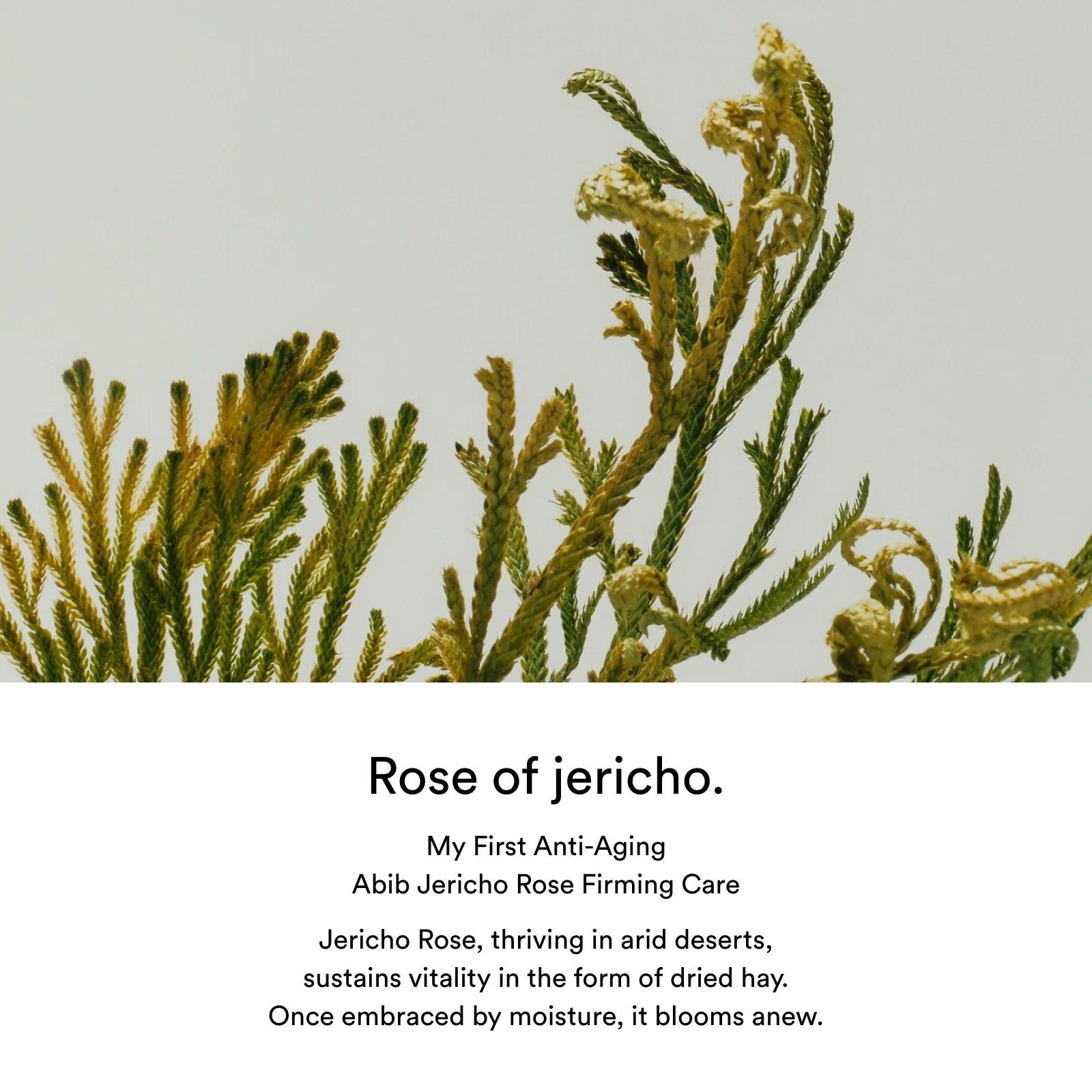 Abib Jericho rose PHA toner Skin booster 200ml Toner Abib