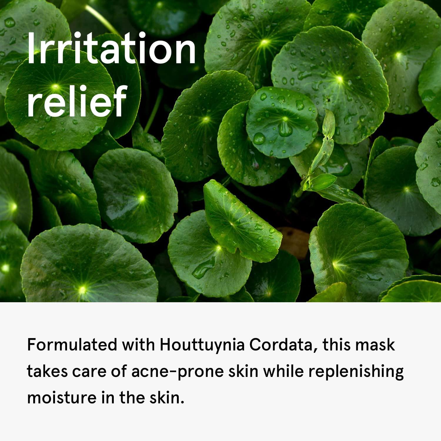[ONE THING] Modeling Pack 1kg #Houttuynia Cordata-thekimyoung.com