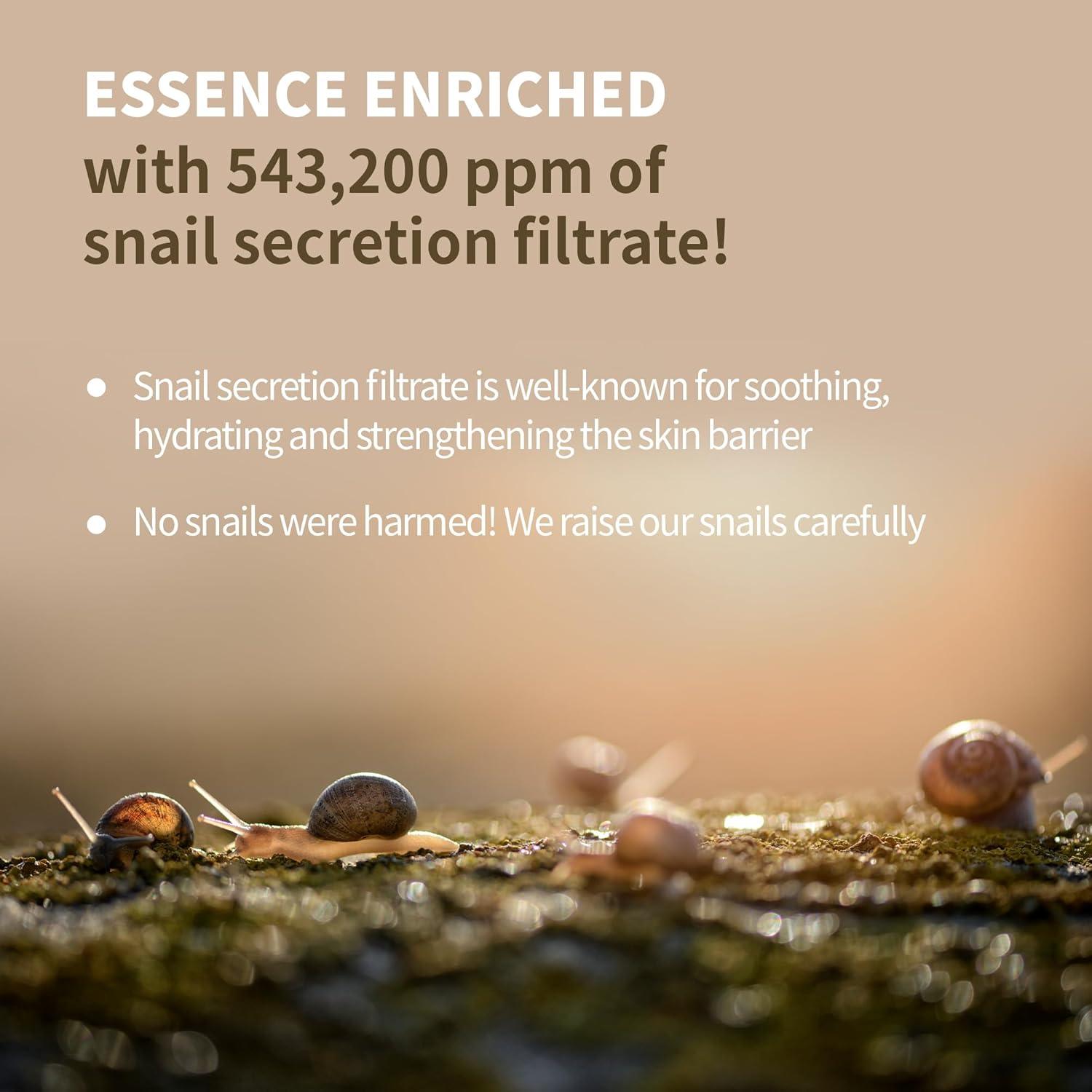 Benton Snail Bee High Content Lotion 120ml-thekimyoung.com