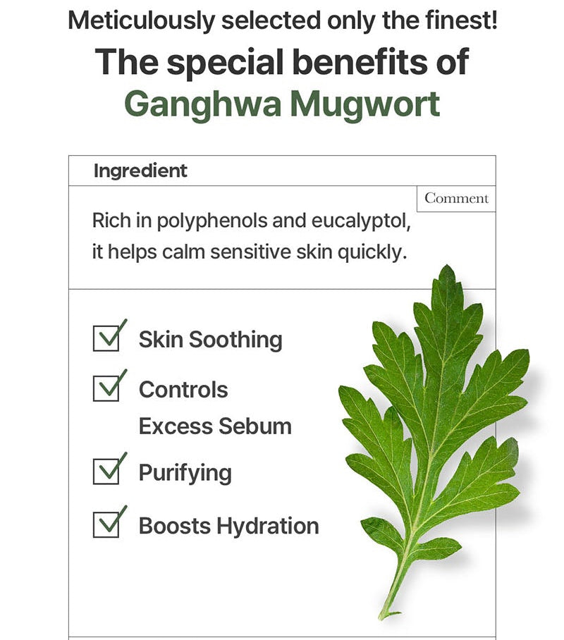 I'm From - Mugwort Essence (150ml)-thekimyoung.com