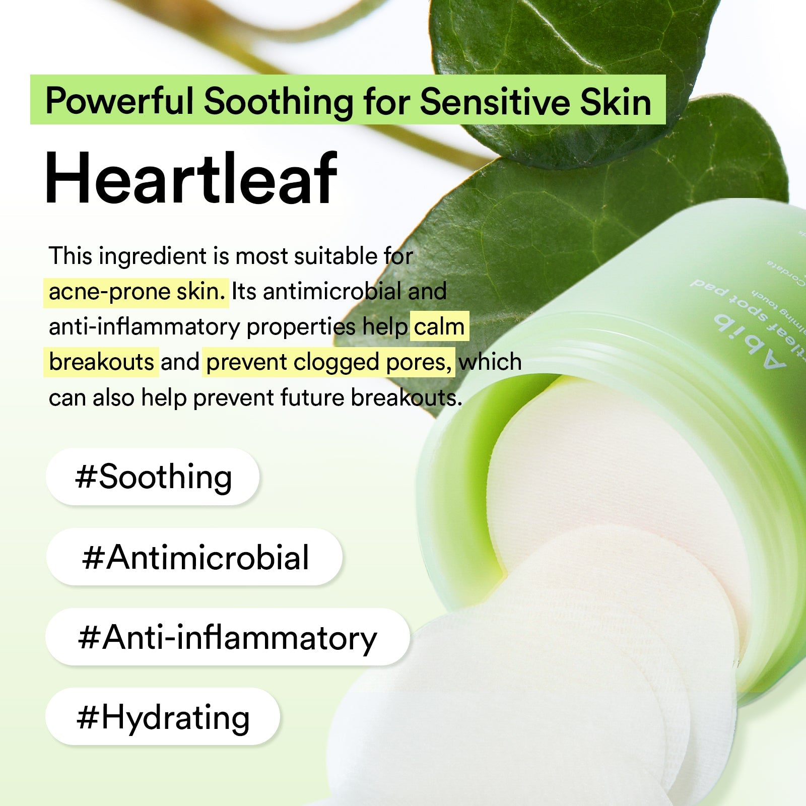 Abib Heartleaf spot pad Calming touch 150ml(80 pads)-thekimyoung.com