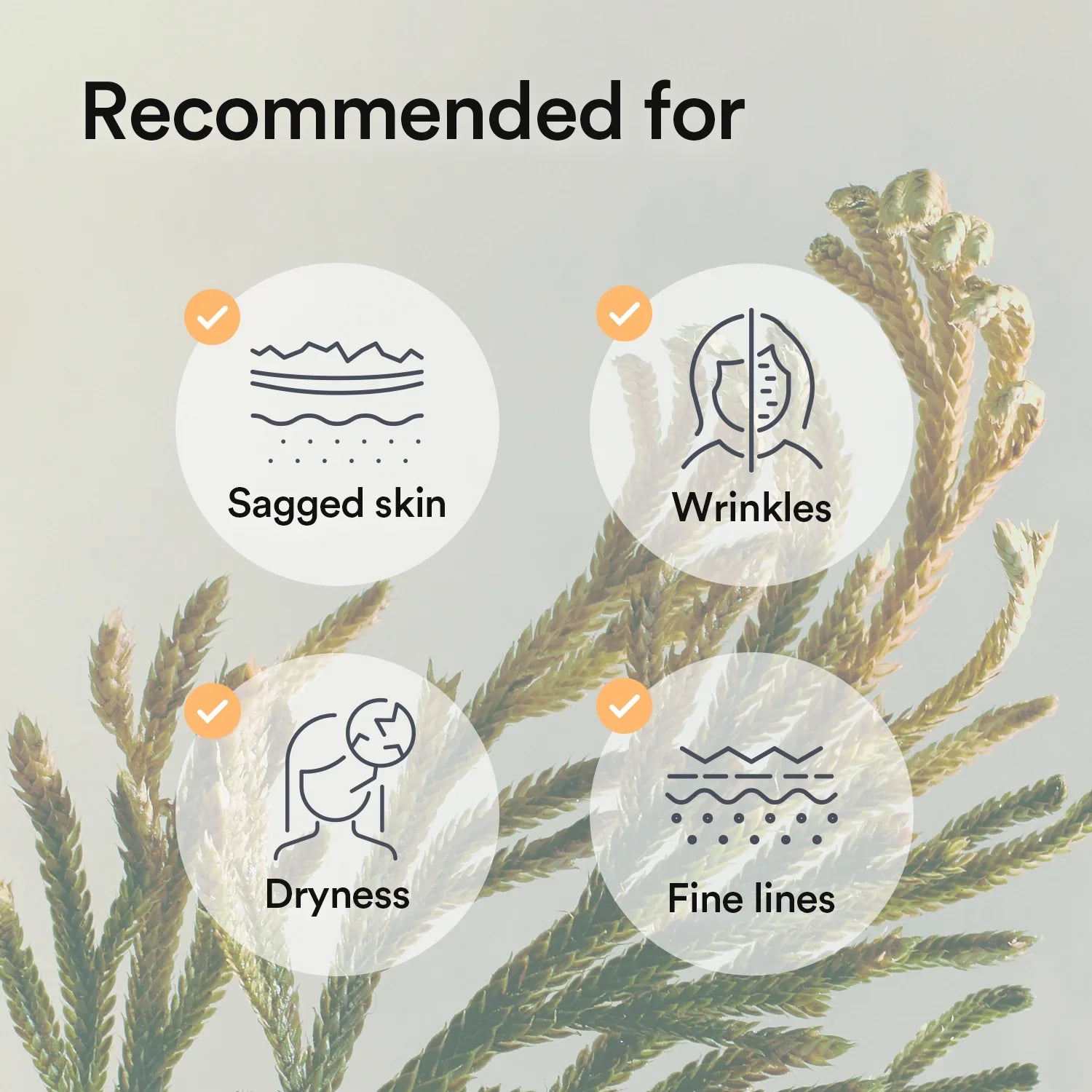 Abib Collagen gel mask 35ml - Jericho rose jelly Mask Sheet Abib