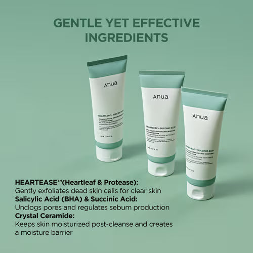 Anua Heartleaf Succinic Moisture Cleansing Foam 150ml-thekimyoung.com