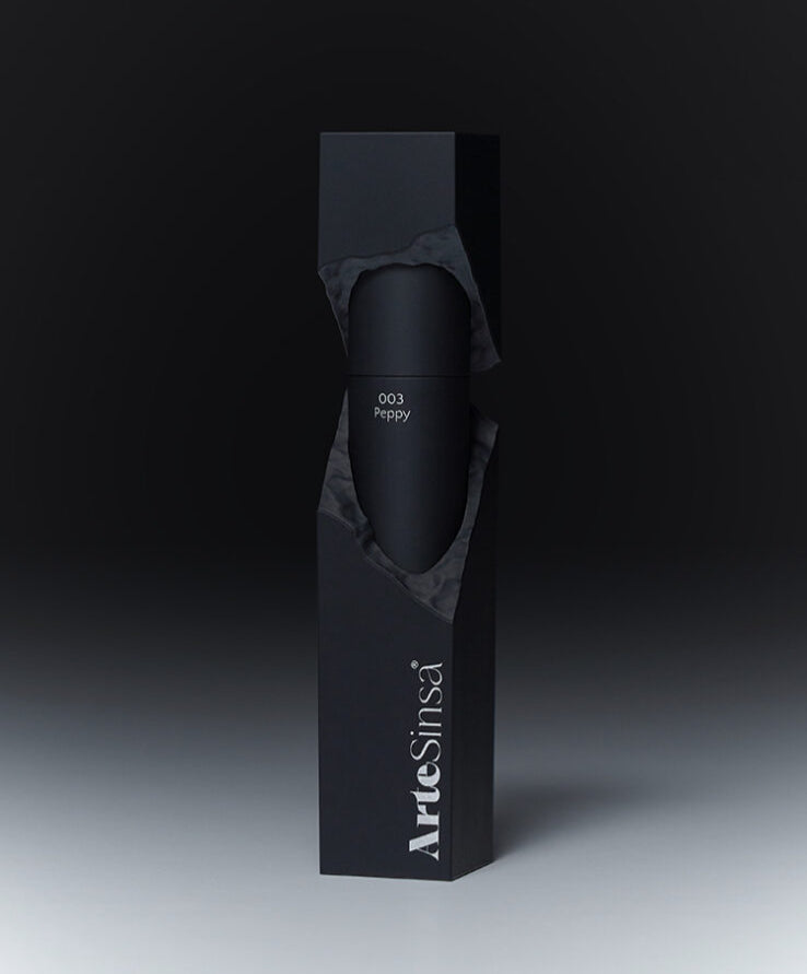 ArteSinsa Silky Blur Tint - 5 Shades (All Variations) LIP TINT Artesinsa