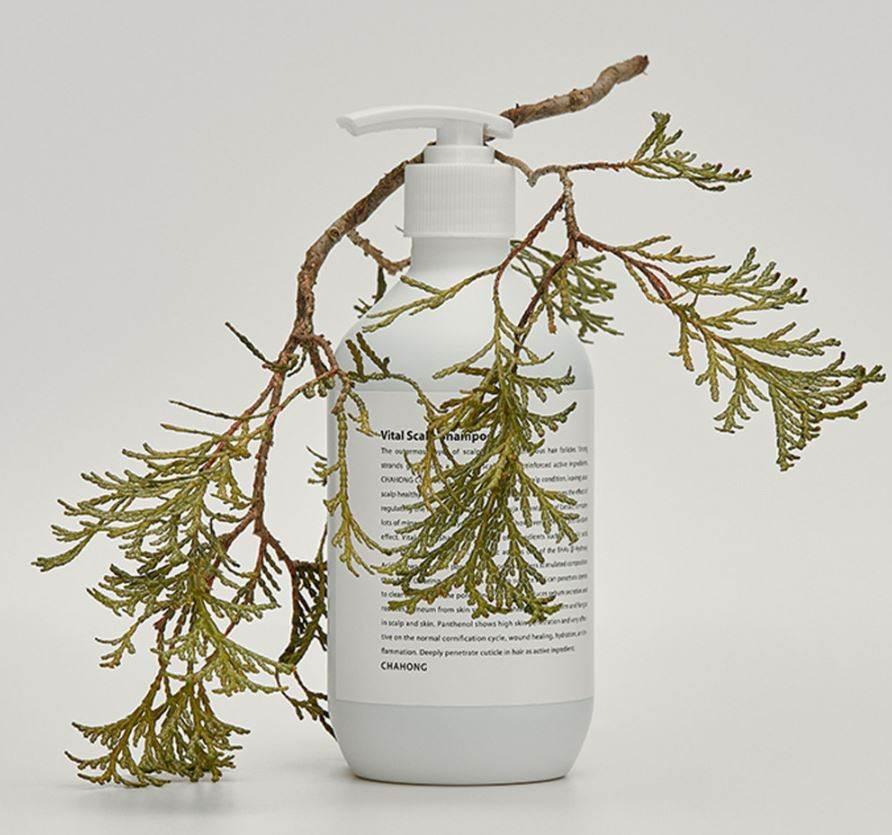 CHAHONG Vital Scalp Shampoo 500ml Shampoo CHAHONG