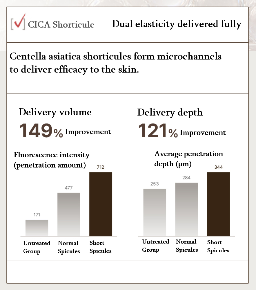 Dr.Reju-All - Advanced PDLLA Firming Cream (30ml)-thekimyoung.com