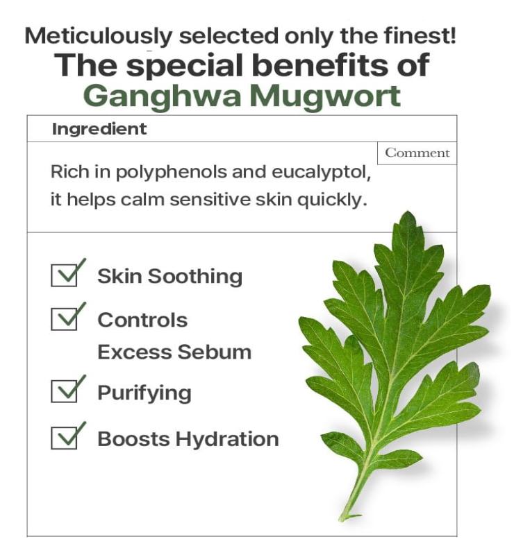 I'm From - Mugwort Fluid Cream (50ml)-thekimyoung.com