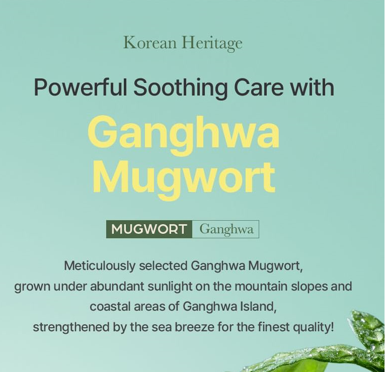 I'm From - Mugwort Fluid Cream (50ml)-thekimyoung.com