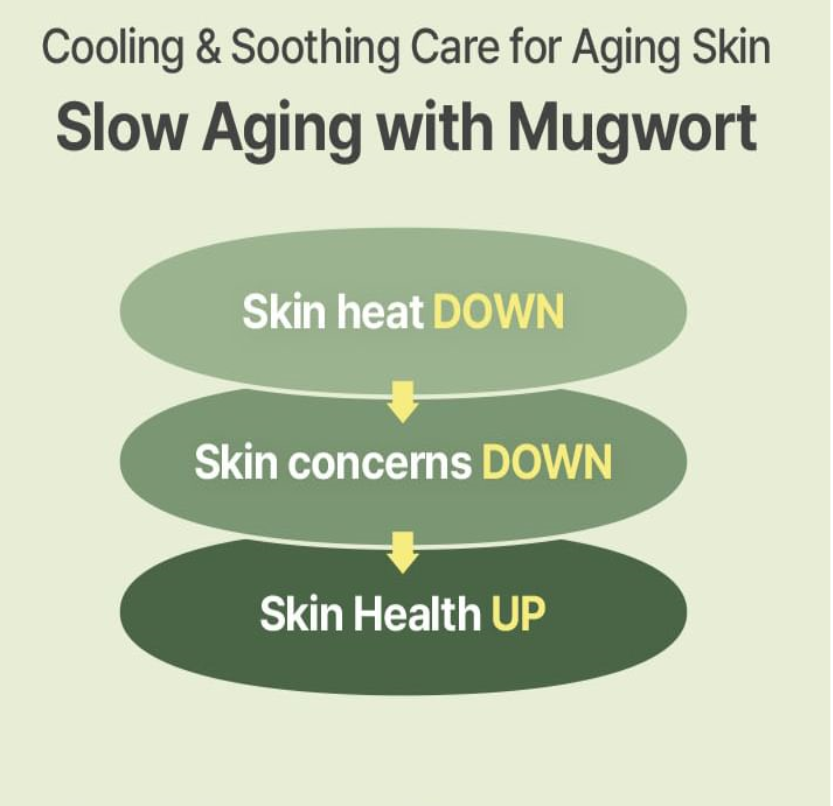 I'm From - Mugwort Fluid Cream (50ml)-thekimyoung.com