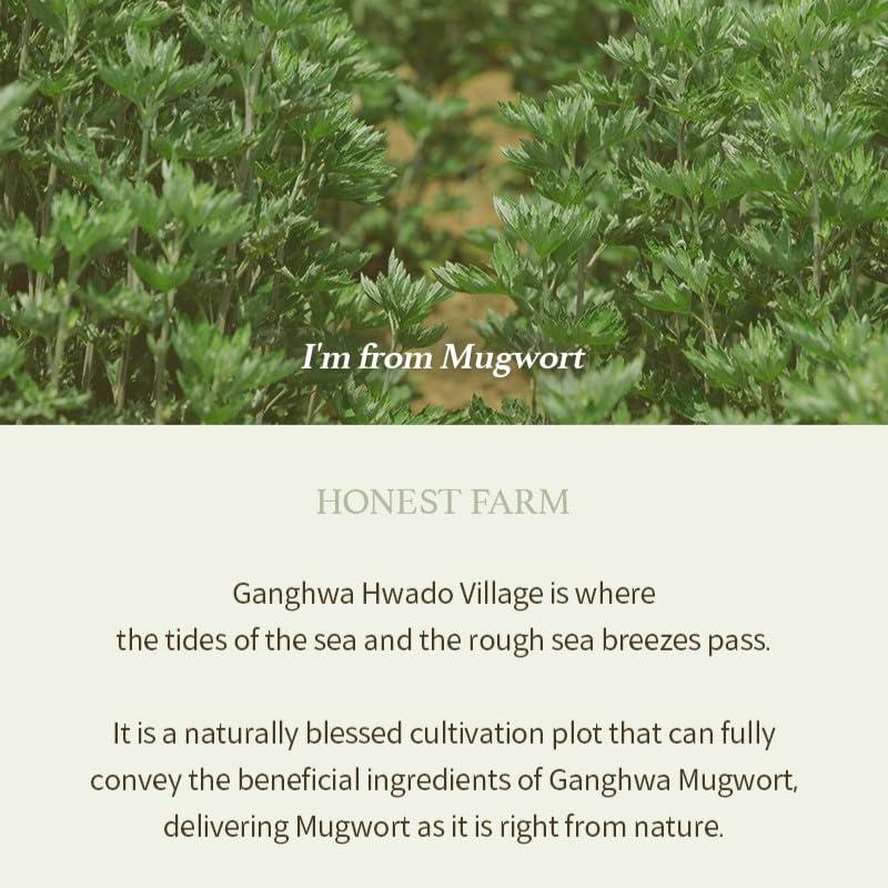 I'm From - Mugwort Gel Cleanser (150ml)-thekimyoung.com