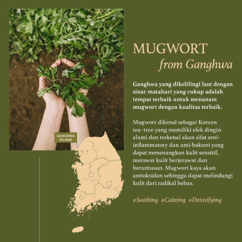 I'm From - Mugwort Sheet Mask (5 Sheets)-thekimyoung.com