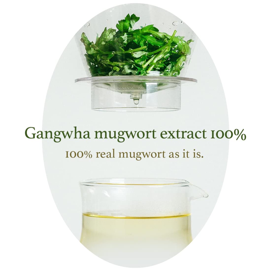 I'm From - Mugwort Sheet Mask (5 Sheets)-thekimyoung.com