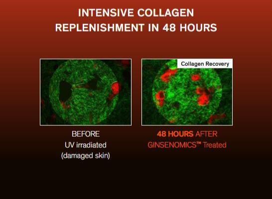 Sulwhasoo Concentrated Ginseng Rejuvenating Ampoule 20g Ampoule Sulwhasoo