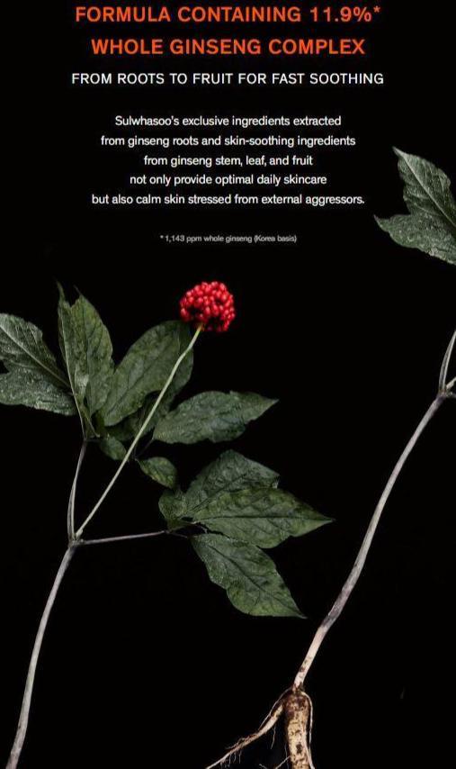 Sulwhasoo Concentrated Ginseng Rejuvenating Ampoule 20g Ampoule Sulwhasoo