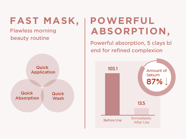 SKIN 1004 Madagascar Centella Poremizing Quick Clay Stick Mask Clay Masks SKIN1004