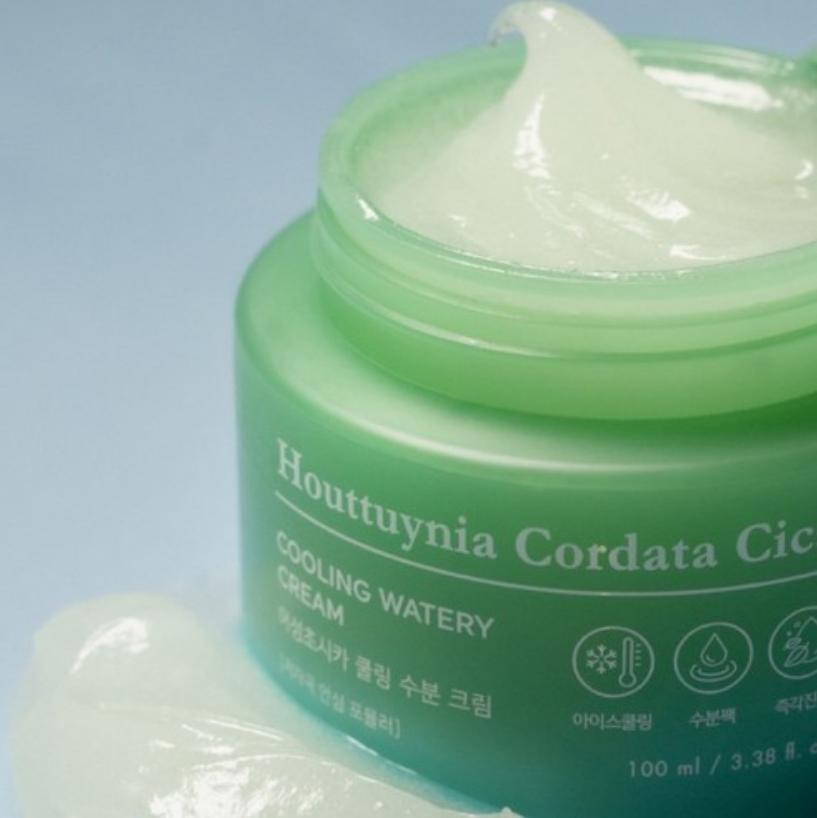 TONYMOLY Houttuynia Cordata Cica Cooling Watery Cream 100ml Face Cream TONYMOLY
