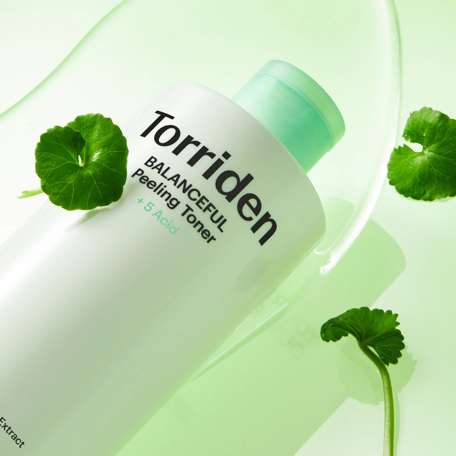 Torriden - Balanceful Peeling Toner (250ml)-thekimyoung.com