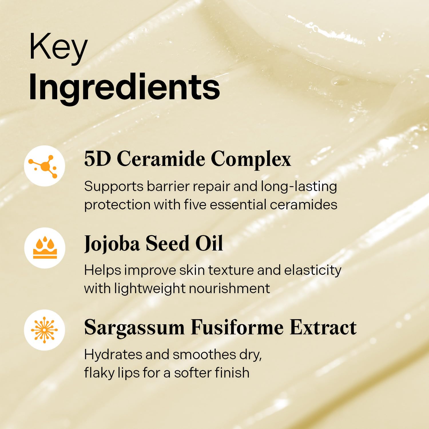 Torriden - SOLID IN Ceramide Lip Essence (11ml)-thekimyoung.com