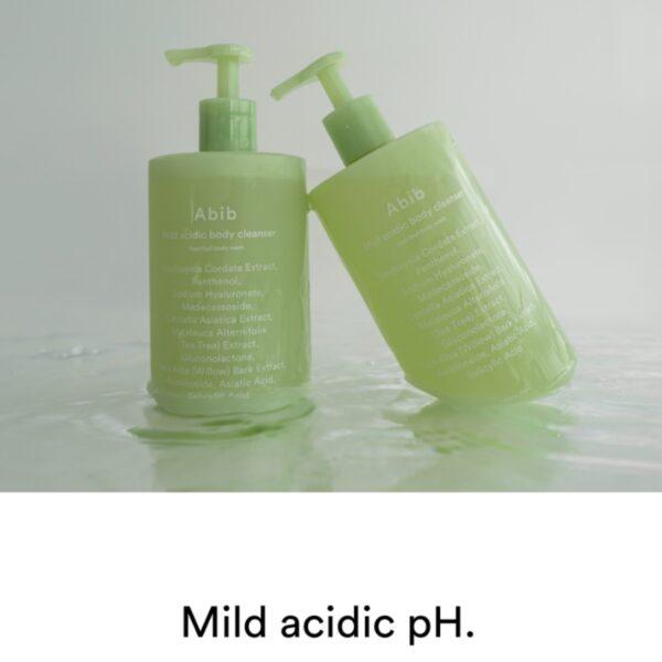 Abib Mild acidic body cleanser Heartleaf body wash 470ml-thekimyoung.com