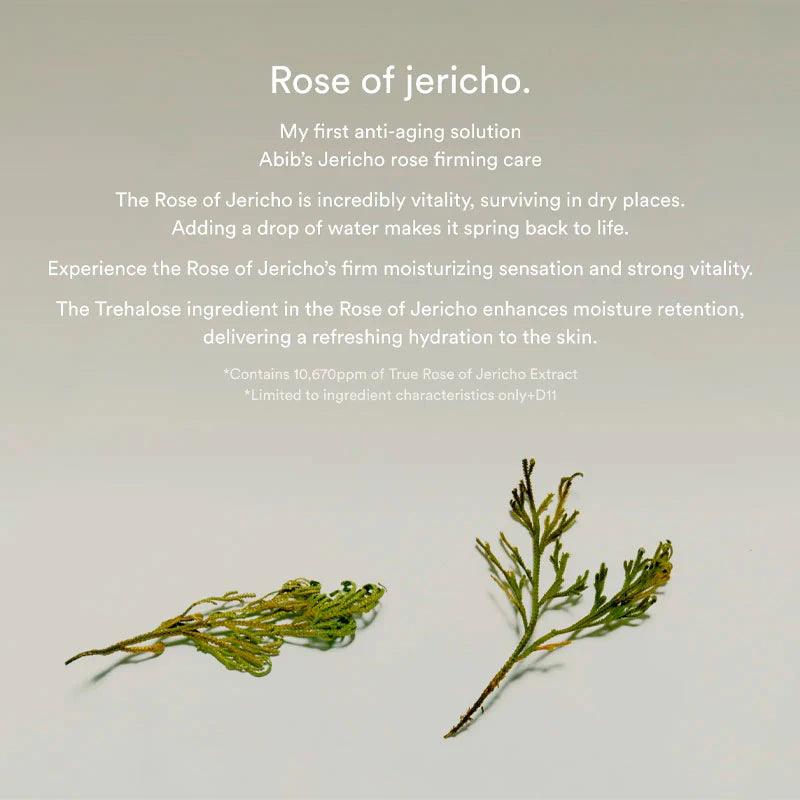 Abib Jericho rose collagen pad Firming touch 60 Pads-thekimyoung.com