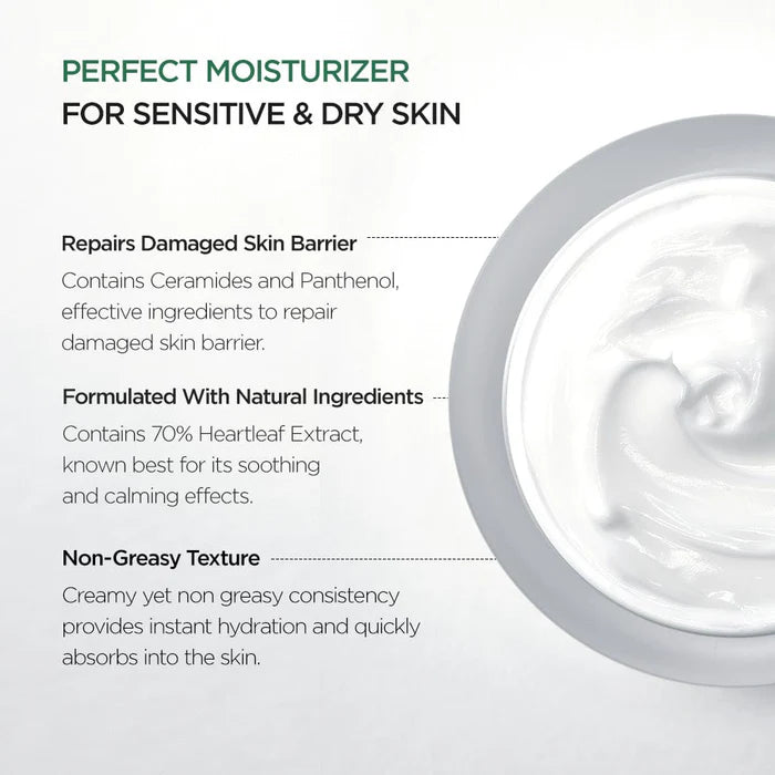 Anua Heartleaf 70% Intense Calming Cream 50ml-thekimyoung.com
