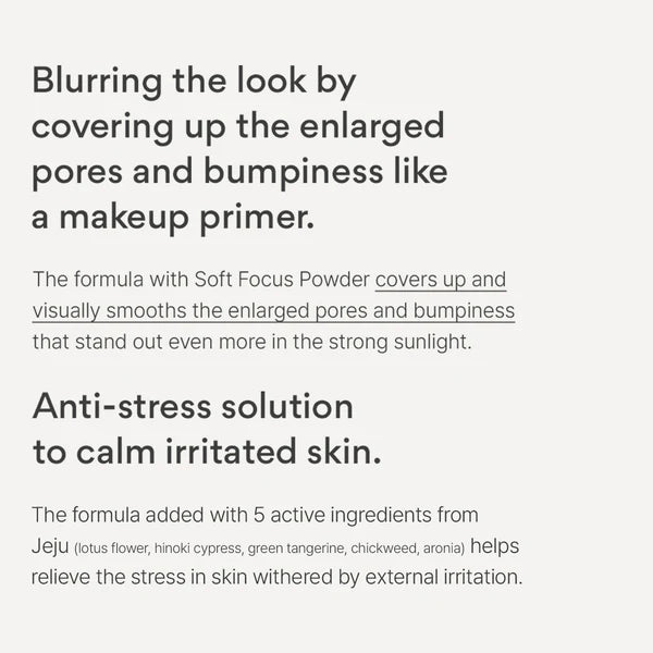 innisfree UV Active Poreless Sunscreen SPF50+ PA++++ (50ml)-thekimyoung.com