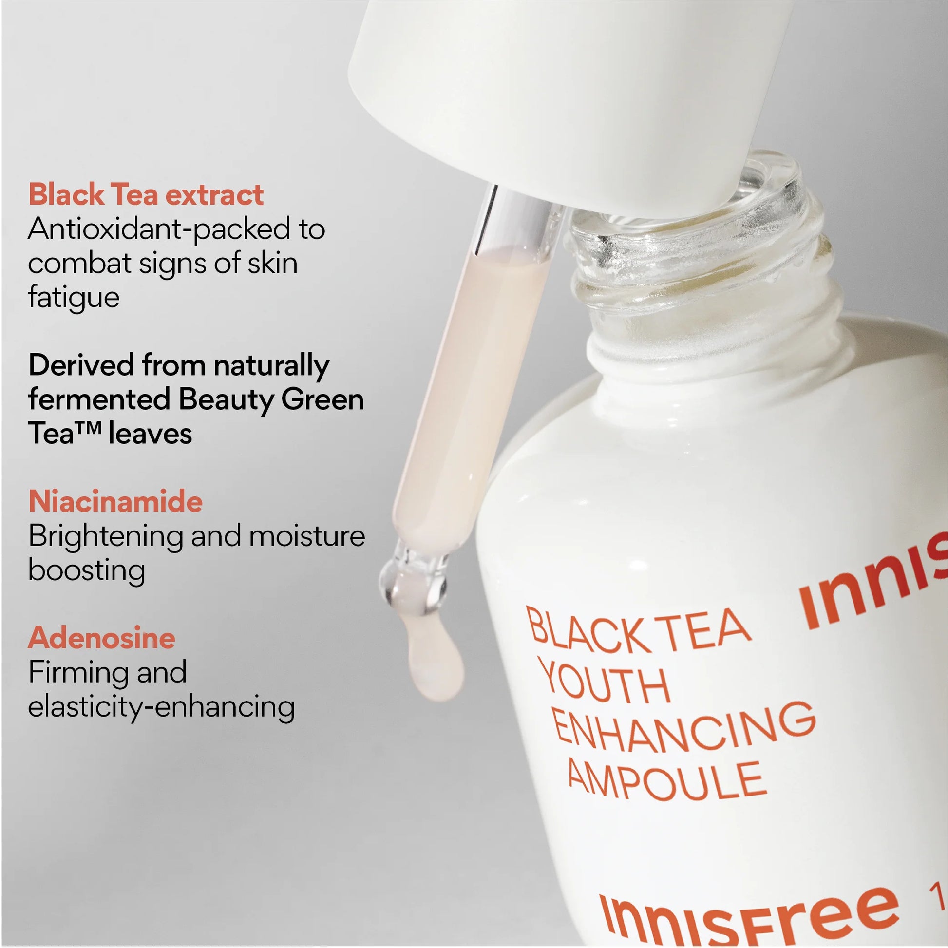 innisfree Black Tea Youth Enhancing Ampoule 30ml+30ml (Double Pack) Ampoule innisfree