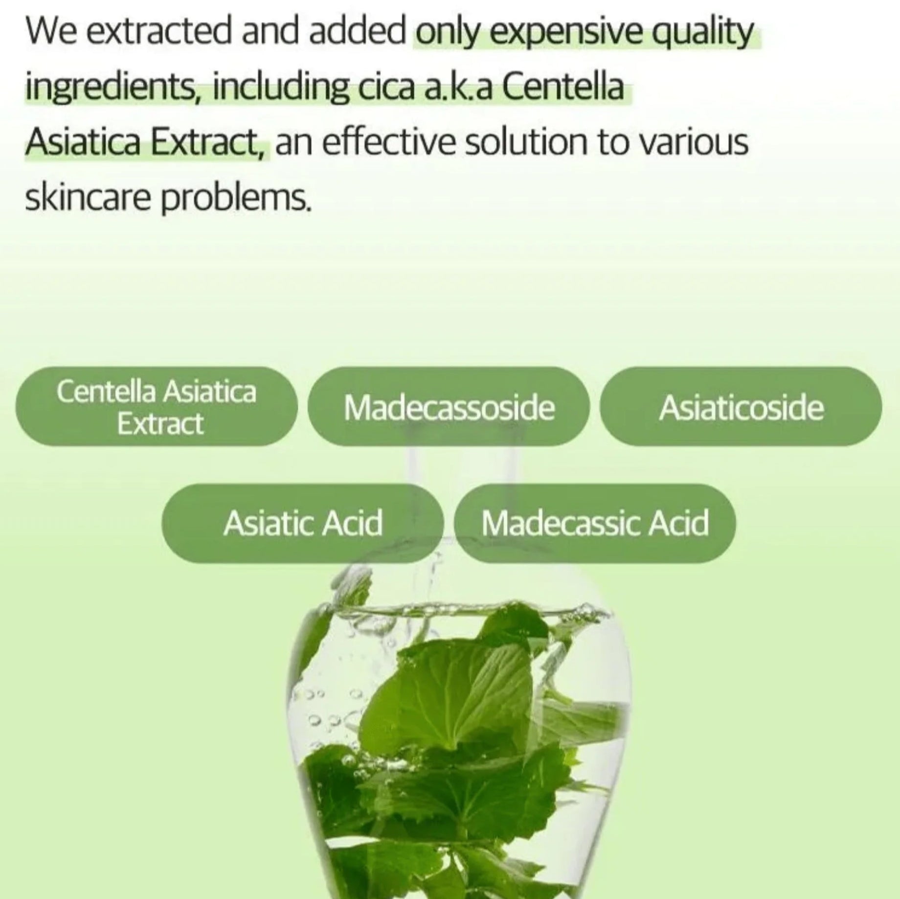 numbuzin No.2 Cica Ceramide Repair Cream-thekimyoung.com