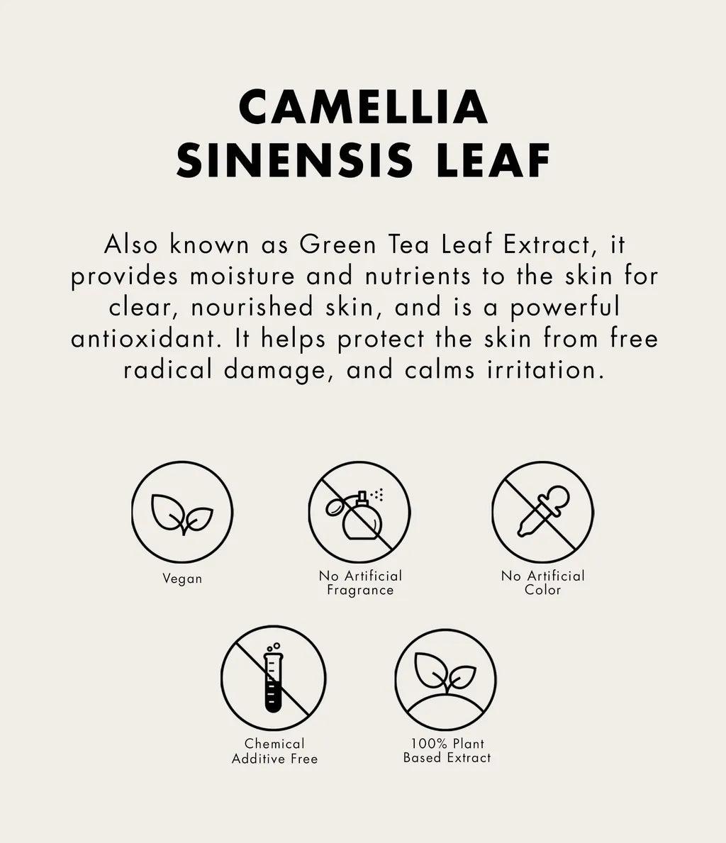 [ONE THING] Camellia Sinensis Leaf Extract 300ml JUMBO Toner ONE THING