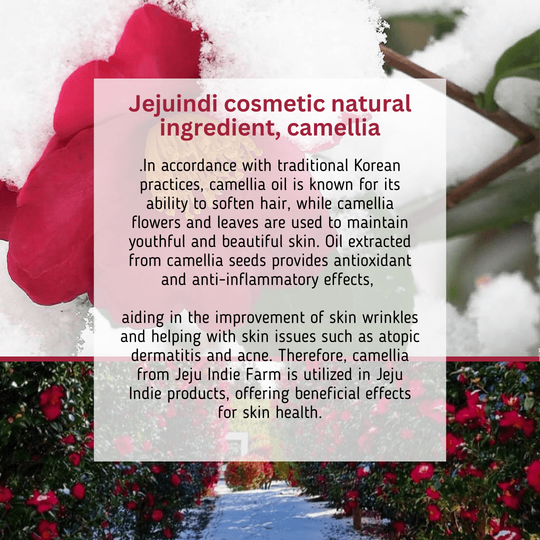 [JEJU INDI] Blossom Sun Cream 50ml-thekimyoung.com
