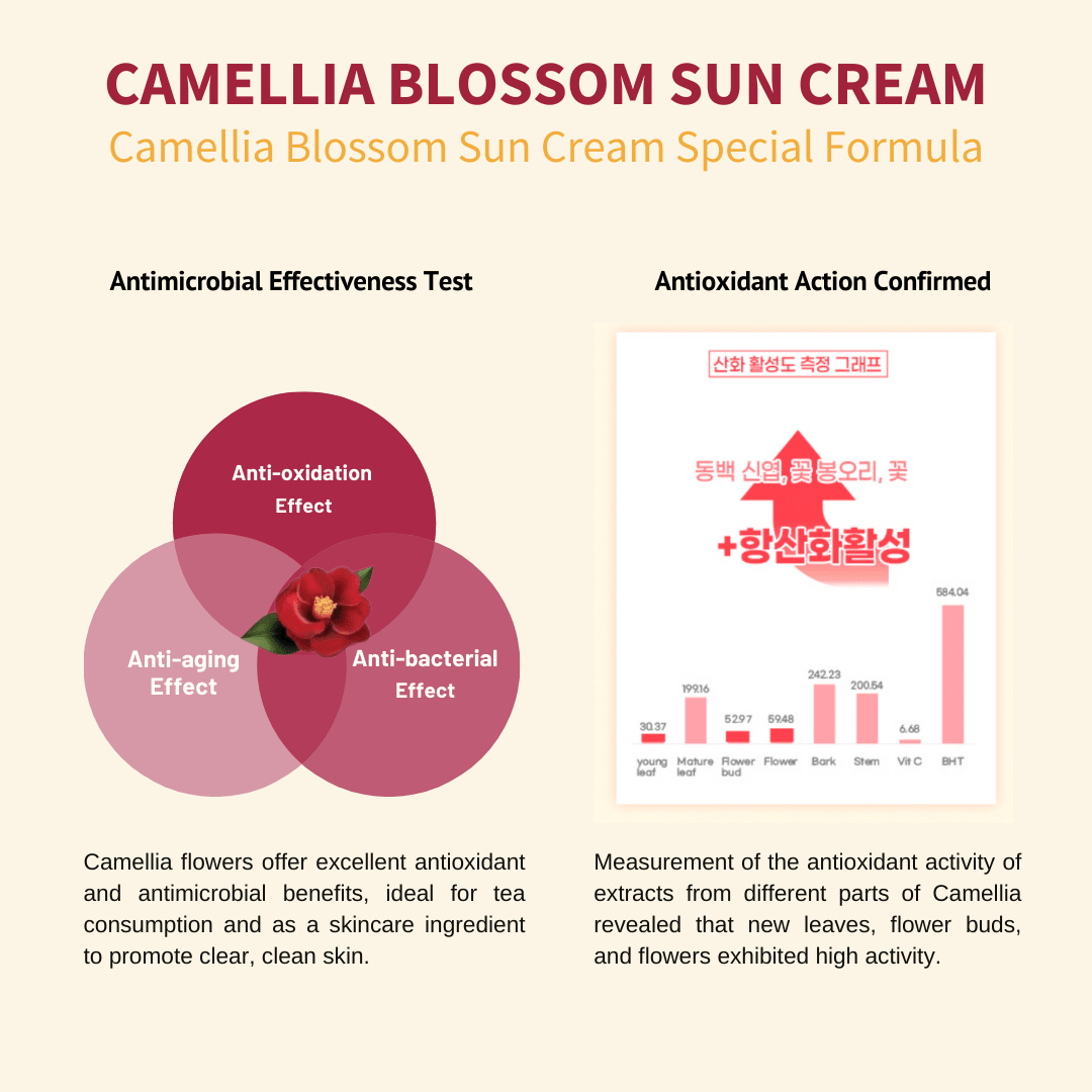 [JEJU INDI] Blossom Sun Cream 50ml-thekimyoung.com