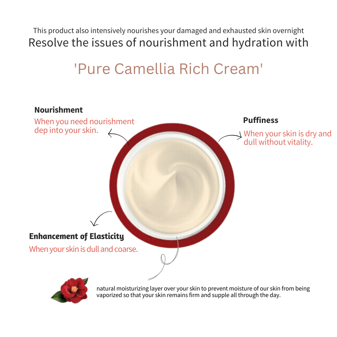 [JEJU INDI] Camellia Vital Rich Cream 50ml-thekimyoung.com
