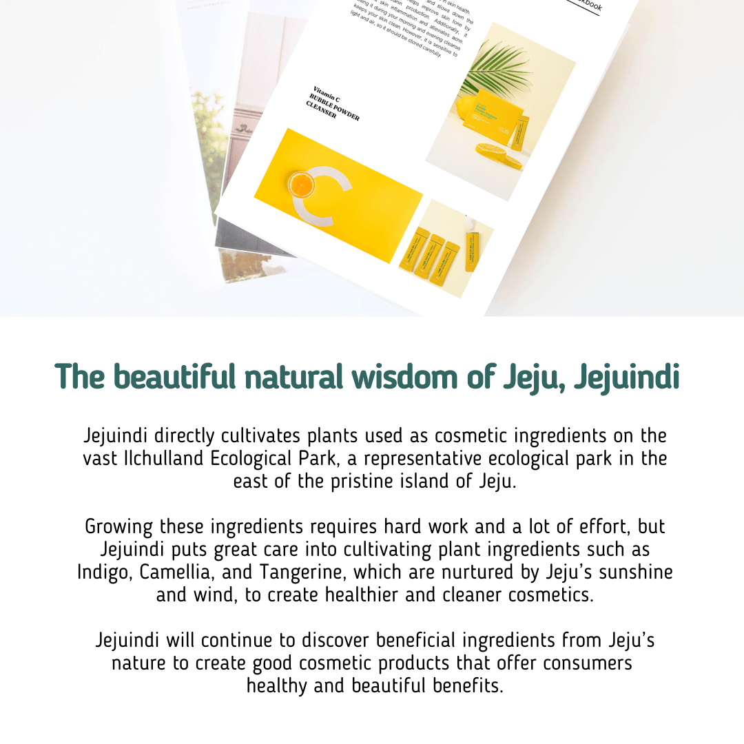 [JEJU INDI] Vitamin C Bubble Powder Cleanser 30ea-thekimyoung.com