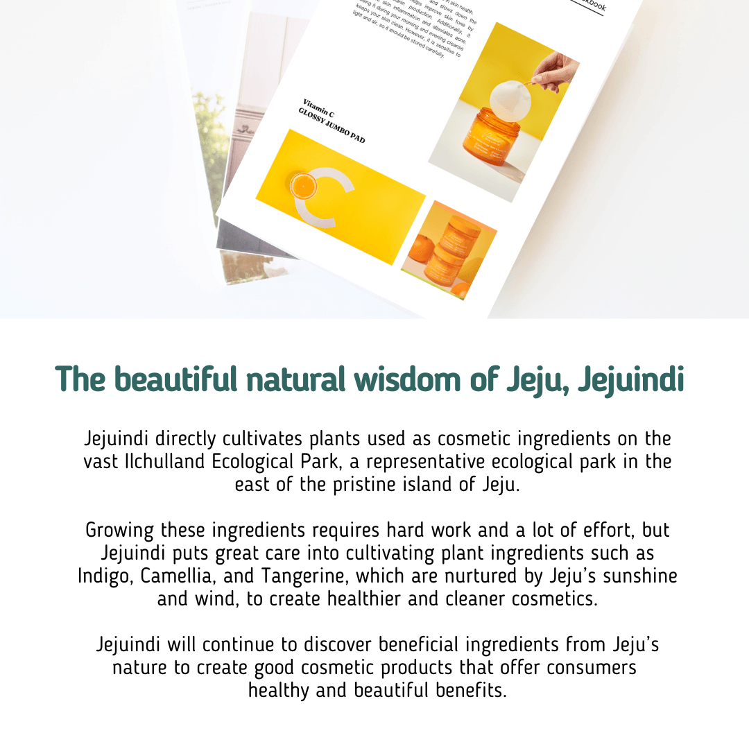 [JEJU INDI] Vitamin C Glossy Jumbo Pad 160ml-thekimyoung.com