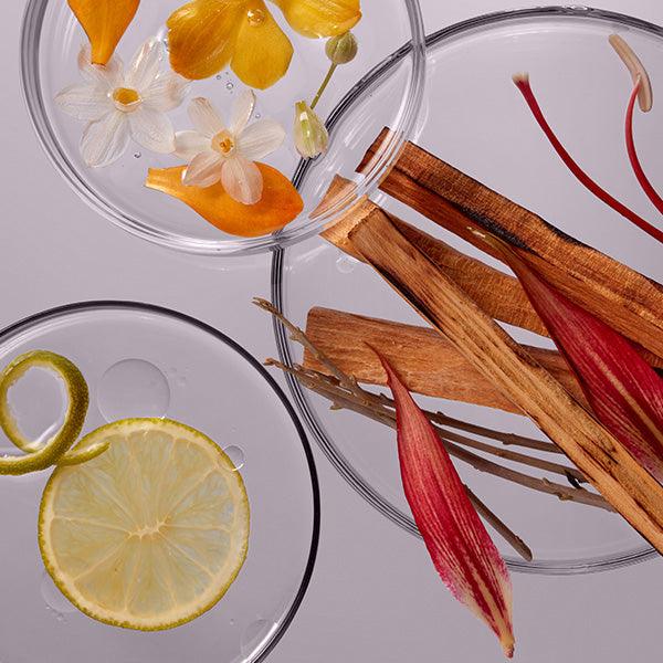 LABO-H Scalp Strengthening Shampoo Hair Loss Care Blanche&Woody 400ml Shampoo LABO-H