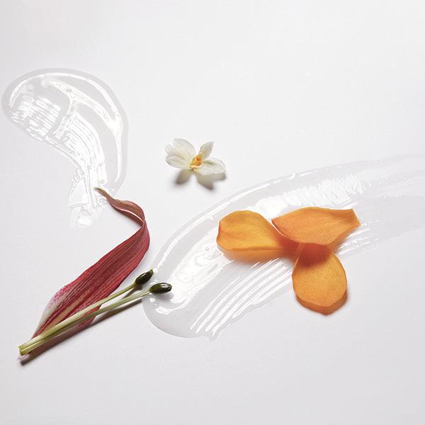 LABO-H Scalp Strengthening Shampoo Hair Loss Care Blanche&Woody 400ml Shampoo LABO-H