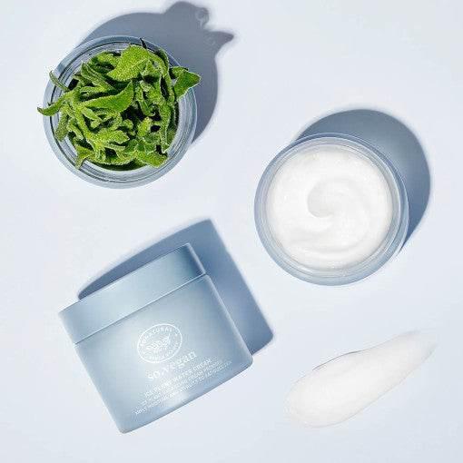 [so natural] So Vegan Ice Plant Water Cream 70ml Moisturizer Cream so natural