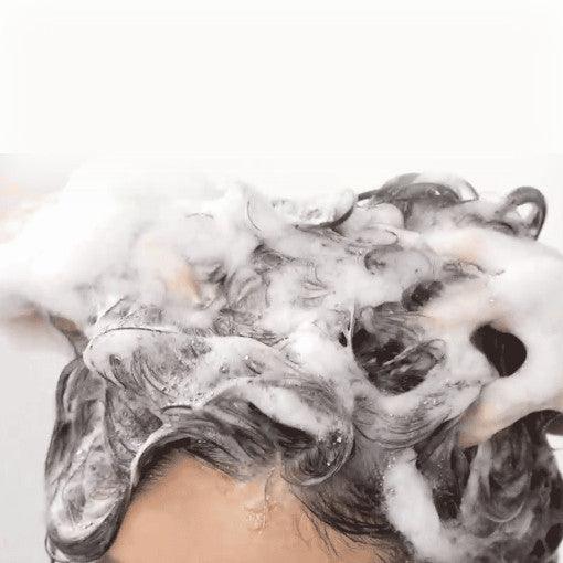 ViveLab Revi Solution Anti Hair Loss Scalp Shampoo-thekimyoung.com