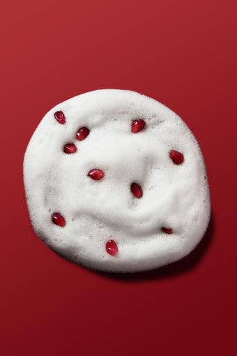 PAUL MEDISON Deep-red All In One Foam Cleansing 510ml Cleansing Foam PAUL MEDISON