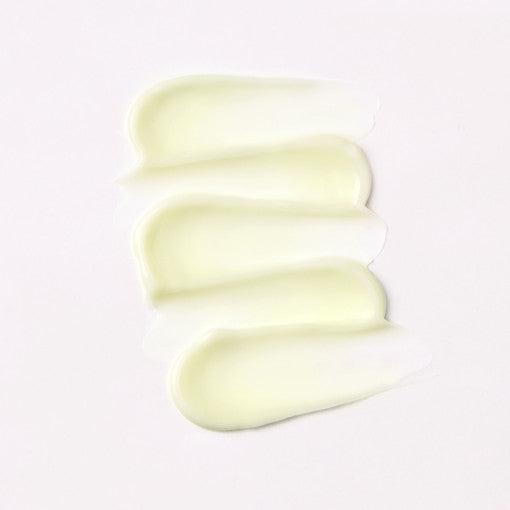 PAUL MEDISON Lacto Collagen Daily Moisture Cream 155ml-thekimyoung.com