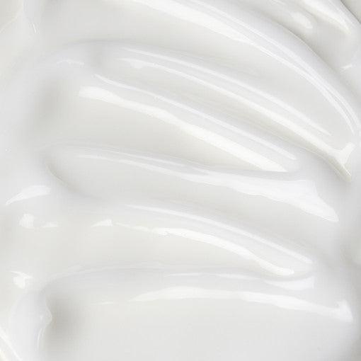 PAUL MEDISON STEM CELL ALL IN ONE CICA CALMING CREAM 100ml Moisturizer Cream PAUL MEDISON